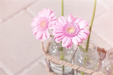 風水 桃花位|風水で恋愛運アップに即効性も！桃花位が決め手 